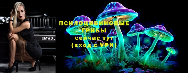 спиды Арсеньев