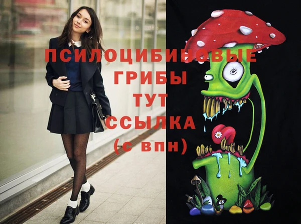 гидра Михайловск