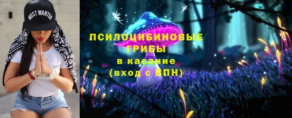 крисы Алексеевка