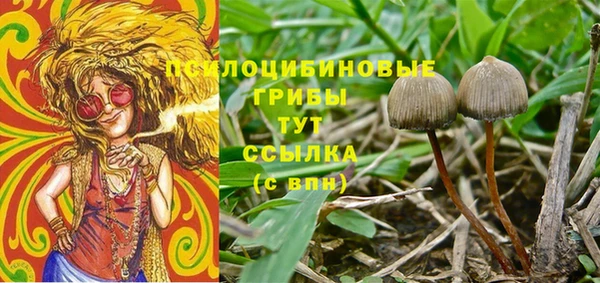 крисы Алексеевка
